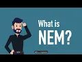 WHAT IS NET ENERGY METERING NEM PROGRAMME