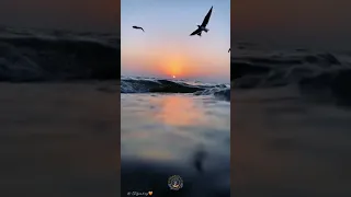 طعم الدواء مر ياطبيب 