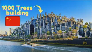 全世界都不会相信中国的基础设施：上海