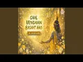 Lagu Chal Vrindavan Basant Aao