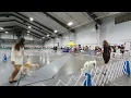 UKC Dog Show Explained - Silken Windhounds in Perry Georgia