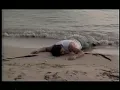 Los Invasores De Nuevo Leon Playa Sola 1