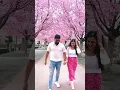 Download Lagu Beautiful cherry blossom 🌸 #trending #dailyvlogs #couple #dance #dailyvlogs #minivlog #kanndavlog