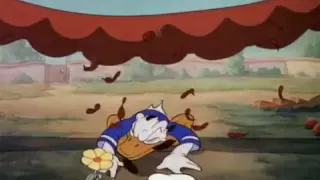 Donald Duck Self Control 1938 