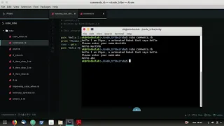 comments in Ruby