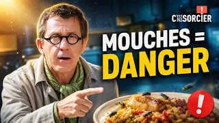 Les mouches peuvent pourrir votre nourriture ? - C'est pas sorcier