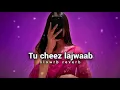 Tu Cheez Lajawab | Slowed + Reversed | Desi & Aesthetic Vibes 🎧🔥