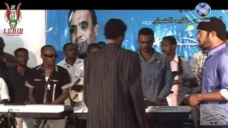 محمود عبدالعزيز ومعتز صباحي 