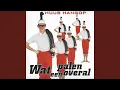 Download Lagu Wat Een Palen Overal