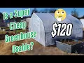Can a 100 Greenhouse Actually Work