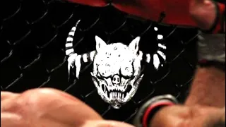 Novulent Scars EXTENDED 