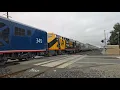 Late Amtrak Coast Starlight at Mowry Avenue Newark CA with AMTK Operation Lifesaver Units