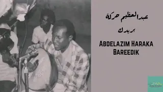 عبدالعظيم حركة   بريدك                             دندنها
