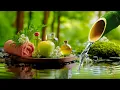 Download Lagu Relaxing Sleep Music + Bamboo Water Sound 🌿 Insomnia Relief, Calm Anxiety, Stress Relief, Meditation