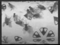 writhing-short-film wmv