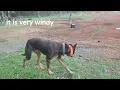 Copper bullet pocket hose review