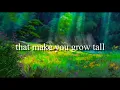 welcome to wonderland - anson seabra (slowed+lyrics)
