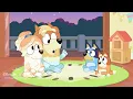 Bluey "Double Babysitter" FULL Episode! | @disneyjr