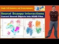 Seurat Scanpy Tutorials Convert Seurat Objects into H5AD Files