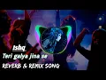 Download Lagu Teri gelya jina sa galya mar jaungi | Ishq -[Slowed \u0026 Reverb] | haryanvi song | #lofi