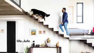 Uma Casa Diferente e Inesquecível — Arquitetura, Arte e um Jardim como Você Nunca Viu
