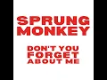 Don't You (Forget About Me)