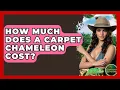 How Much Does A Carpet Chameleon Cost - Reptilian Wonders