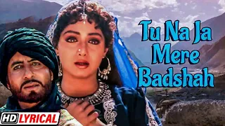 tu na jaa mere baadshah sad love hit khuda gawah amitabh bachchan u0026 sridevi alka u0026 mohammad