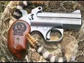 The Snake Slayer by Bond Arms