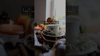 الصداقة التي لن تموت أبد ا 