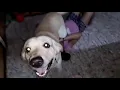 love coco