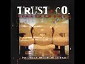 TRUSTcompany - Downfall 432hz