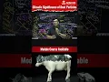 Download Lagu \