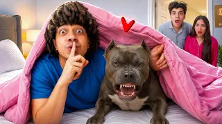 اشتريت كلب للحسين و مراته في السر من غير ميعرفو