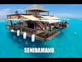 Download Lagu SENIDAMANU - SENIKAVIKA VOL 1