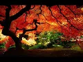 Deutsch Gabor   Love Garden