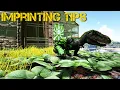 Imprinting Tips - The Survivour s Playbook