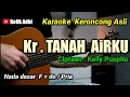 Download Lagu TANAH AIRKU - KARAOKE KERONCONG ASLI NADA PRIA