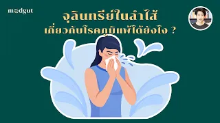 อะไรคือสาเหตุหลักที่ทำให้โรคภูมิแพ้เพิ่มขึ้นในยุคปัจจุบัน