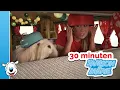 Download Lagu 30 minuten compilatie Samson \u0026 Marie 🚍