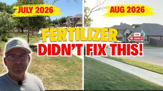 30-Day Bermuda Lawn Transformation The Fertilizer Wasn t the Secret