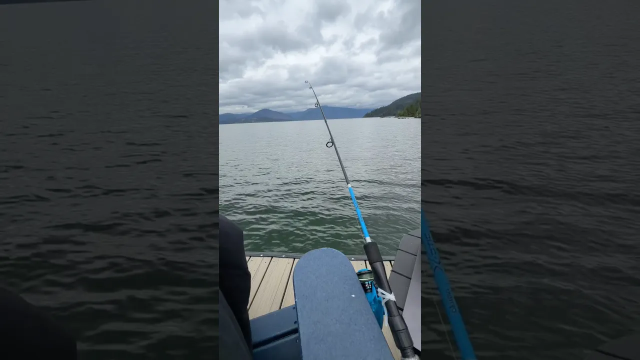 GOT PAID FOR FISHING!!!