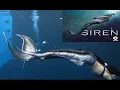 Download Lagu The mermaid Tail of RYN, shoot underwater