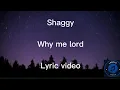 Download Lagu Shaggy - Why me Lord lyric video