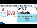Two Dimensional Arrays in Java Amharic