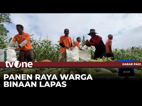 Lapas Kelas IIA Bangkinang Panen Raya Jagung dan Durian Musang King | Kabar Pagi tvOne