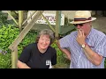 Silphium tasting