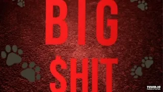 gee 5avage big shit