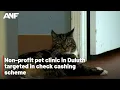 Non-profit pet clinic in Duluth targeted in check cashing scheme