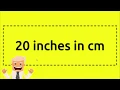 20 inches in cm